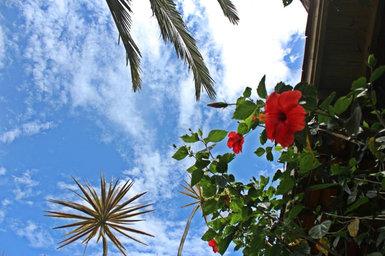 Hotel Morada Dos Hibiscos Praia do Rosa Exterior foto
